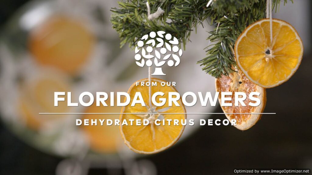 florida growers dehydrated citrus decor